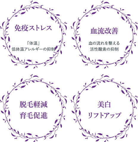 免疫ストレス・血流改善・脱毛軽減・育毛促進・美白・リフトアップ